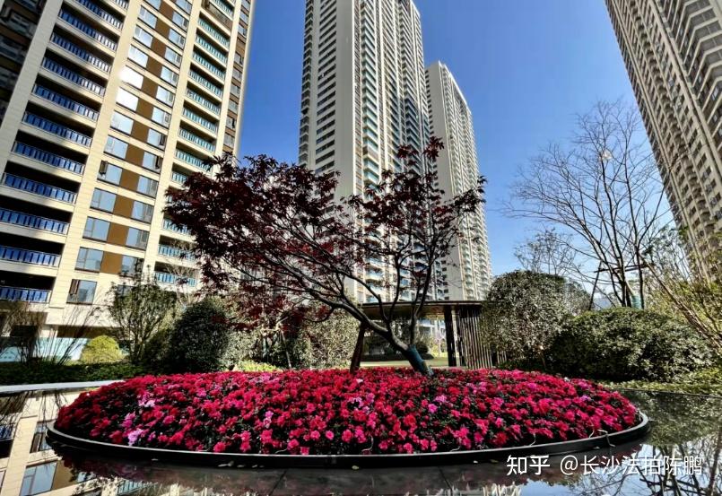 梅溪华府又出2套法拍房:倒挂80万!梅溪湖最大大平层项目! - 知乎