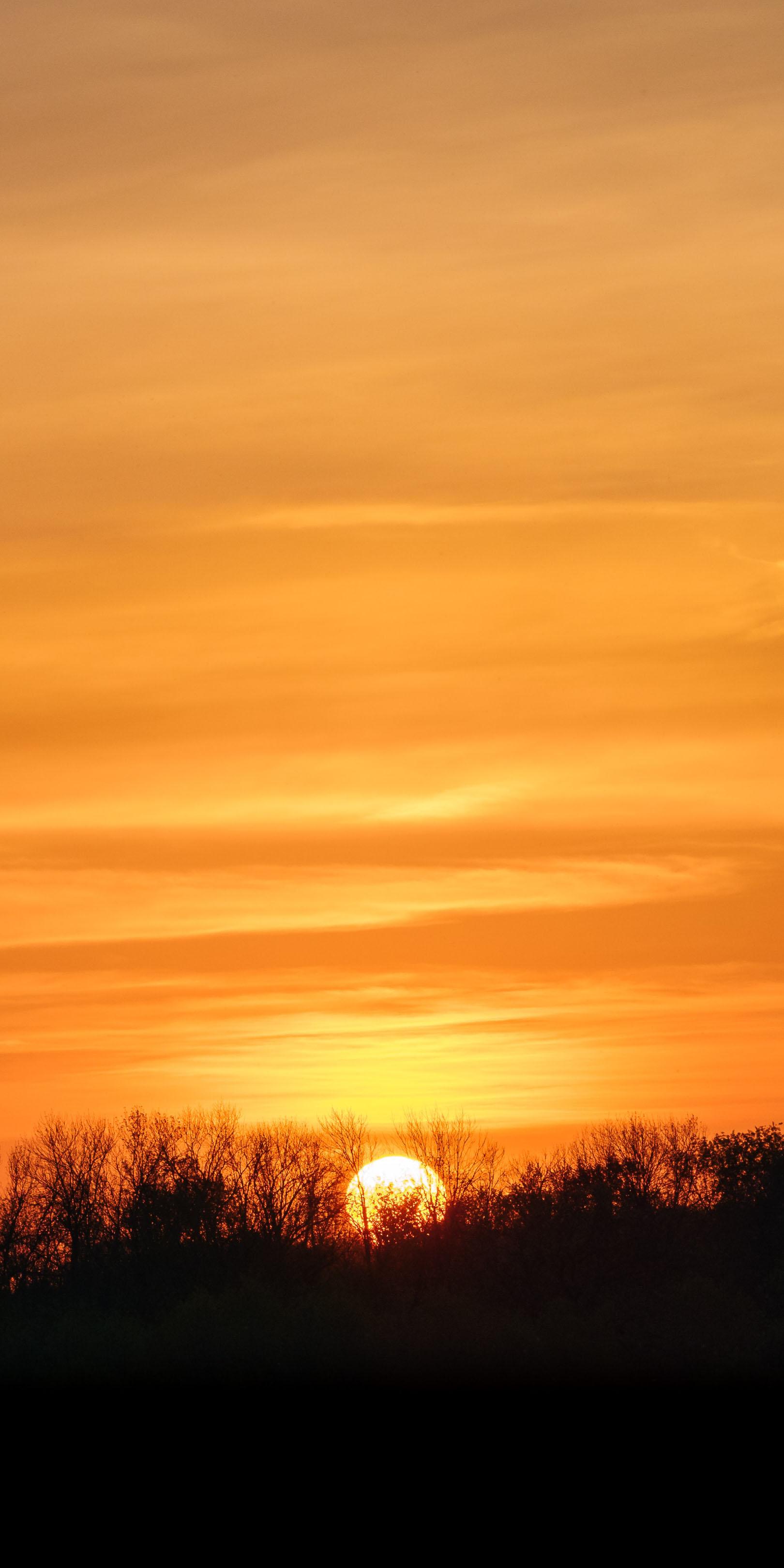 有哪些好看到爆的橙色系壁纸?