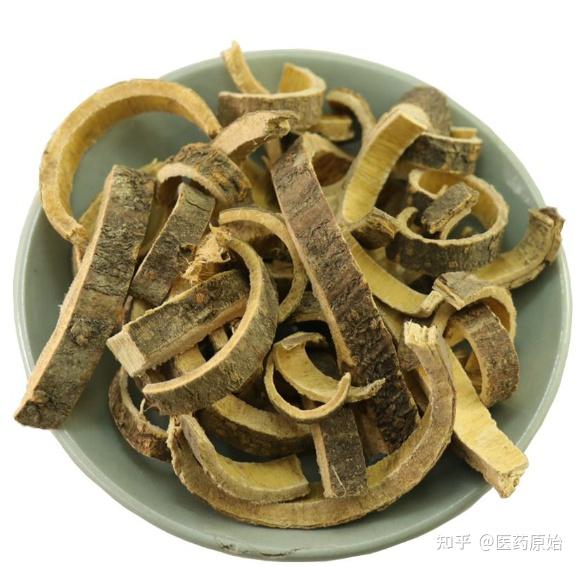 带你识别合欢皮 - 知乎