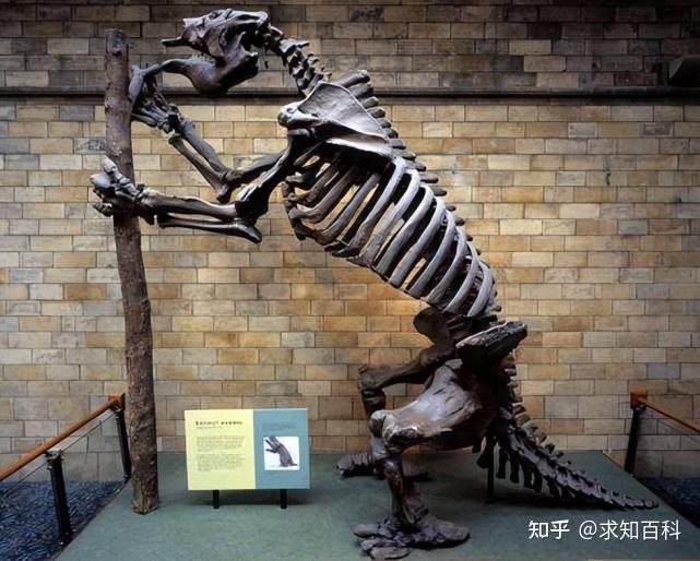 巴西发现13000年前的地下隧道，科学家：非人为，也不是天然形成 - 知乎