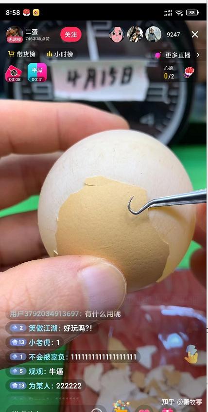 用好奇心赚钱直播用镊子生剥鸡蛋壳数千人在线10天带货7w