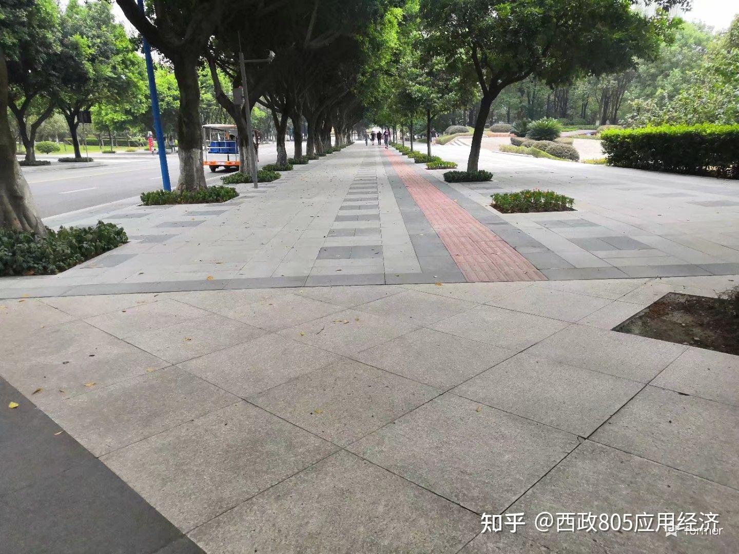 西政:绝望坡.