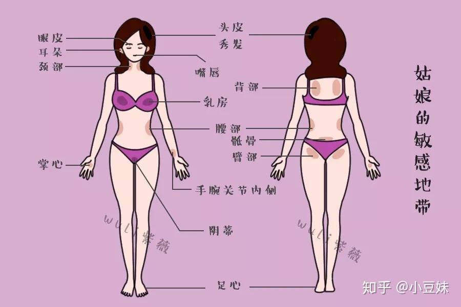 我都帮你整理好了!