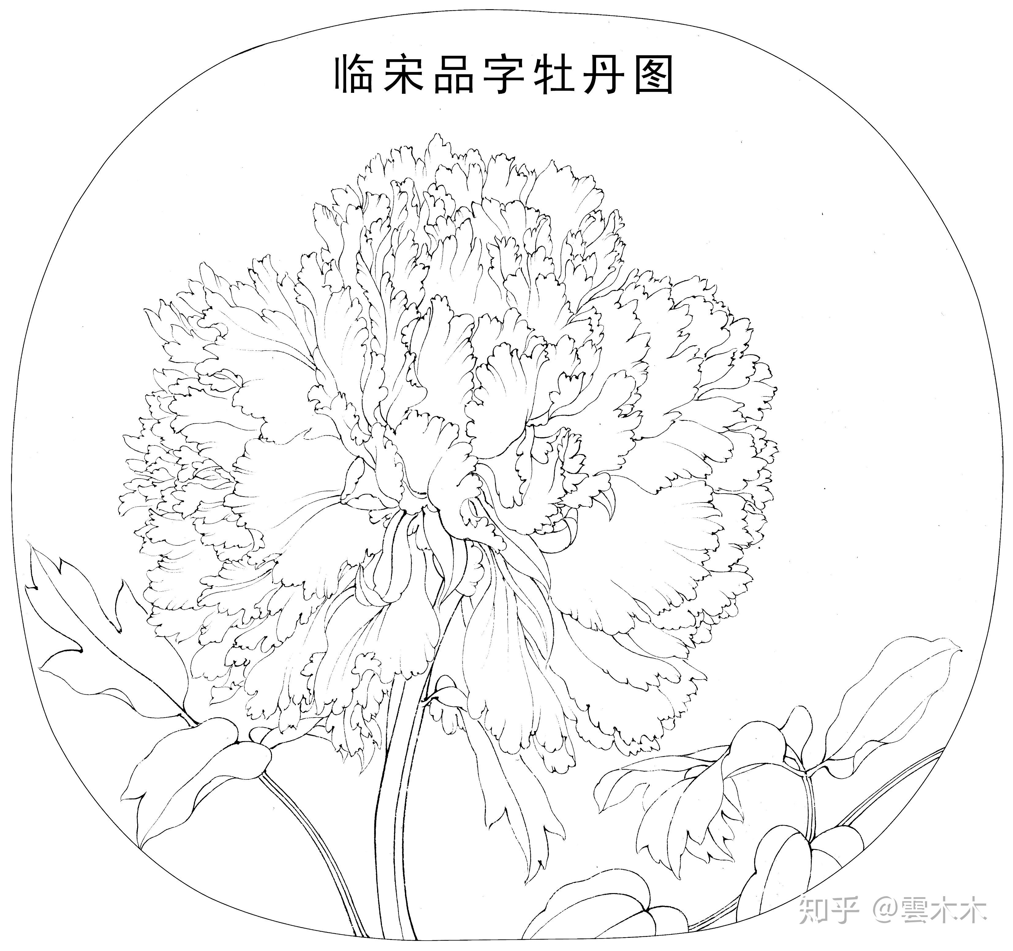 宋小品国画工笔绘画步骤图品字牡丹图尺寸3335cm