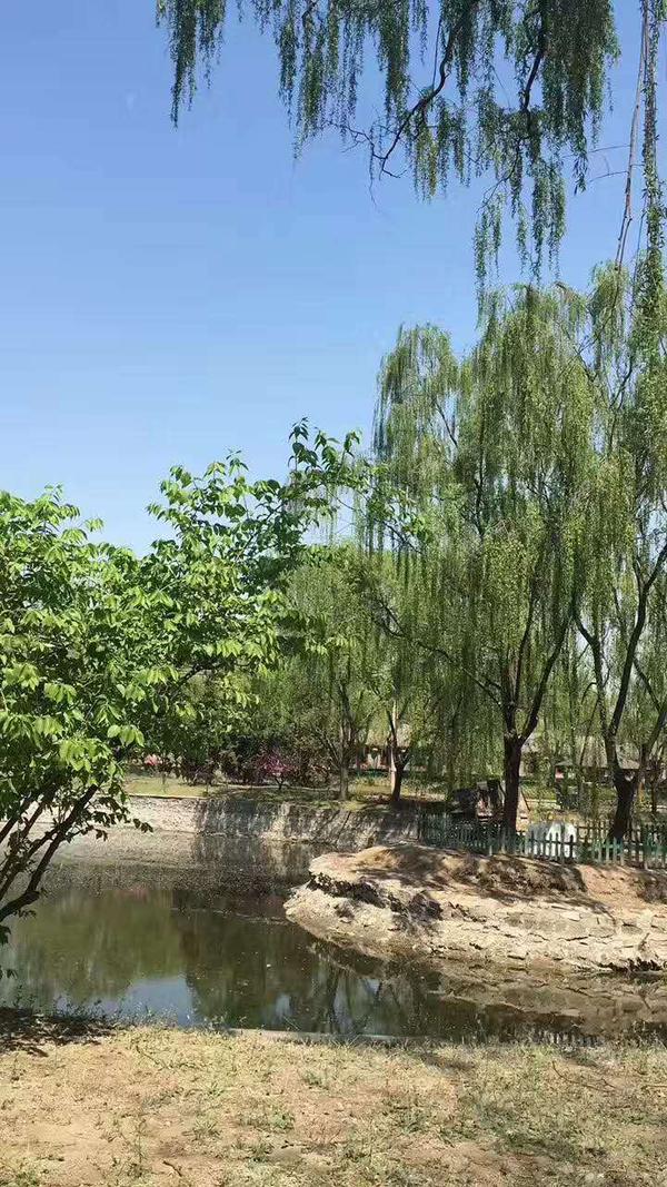 艾克英语 球王争霸赛 知乎