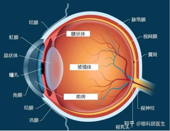 眼睛里的水可是活水