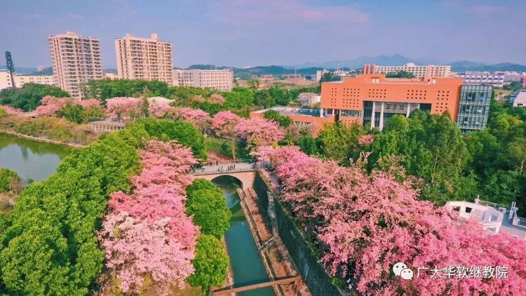 广州软件学院继教院全日制专本同读火热招生中