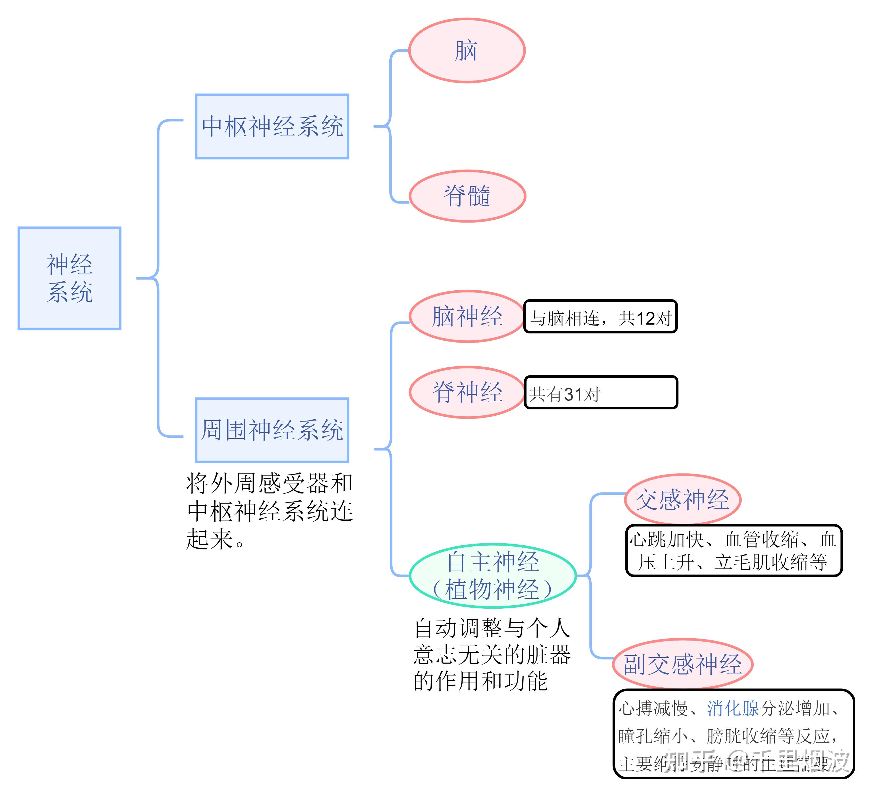 情绪的产生机制