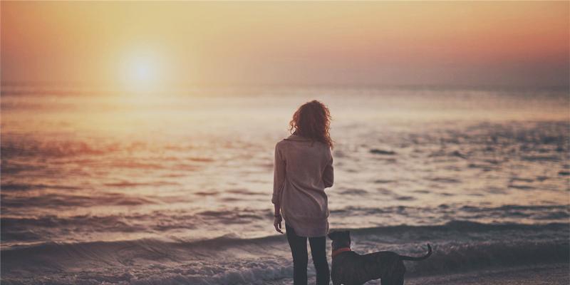 v2-96ff2708c2fe9b9a6000fd8d96866191_1440w.jpg?source=172ae18b