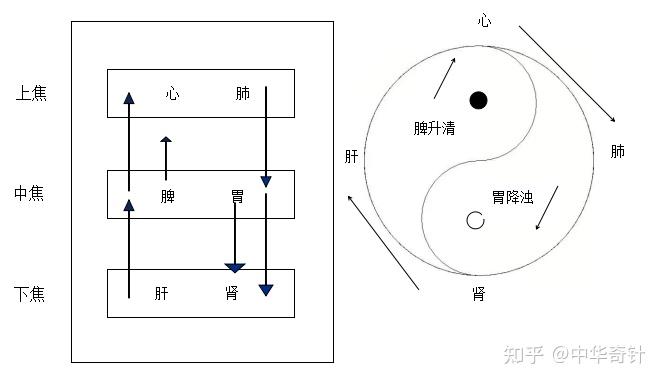 中医的三焦四分模型之上篇