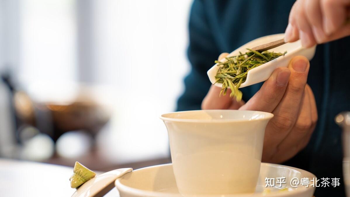 茶知识分享泡茶到底投放多少茶叶合适 - 知乎
