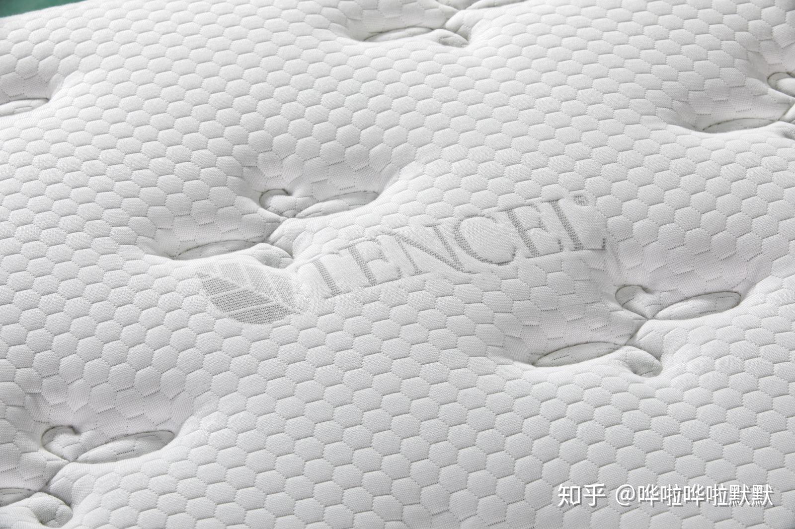 此外,护脊智慧2060拥有的天然tencel丝面料,被称为21世纪最绿色的纤维