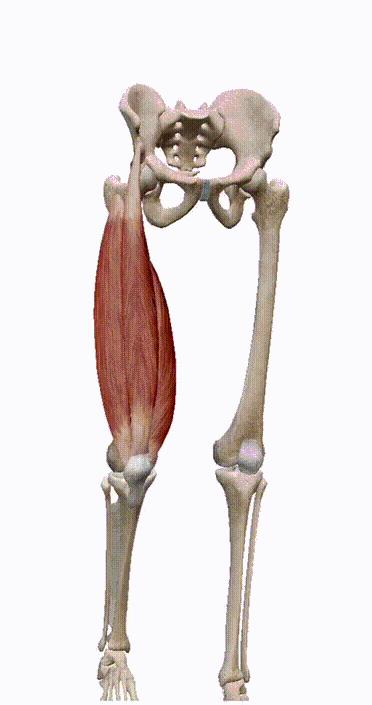 a讲堂髌骨运动轨迹紊乱