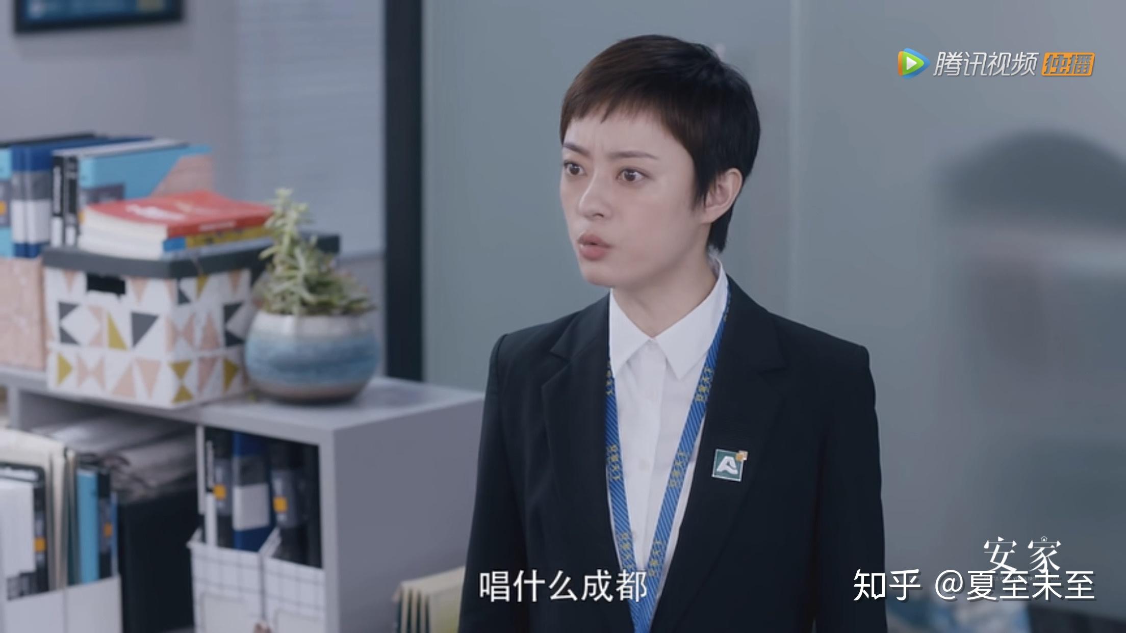 如何评价孙俪罗晋主演的电视剧安家