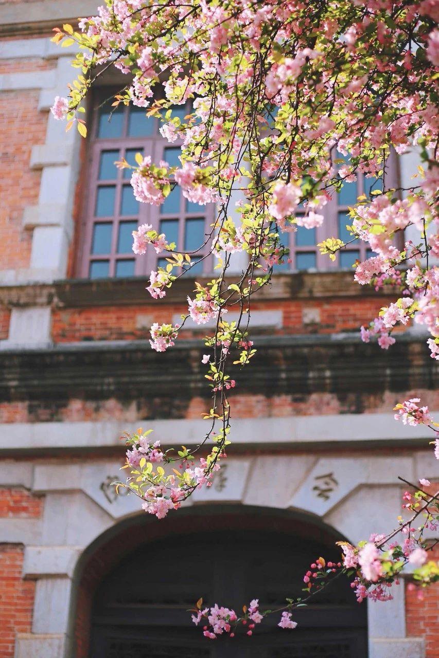 云南大学风景图片