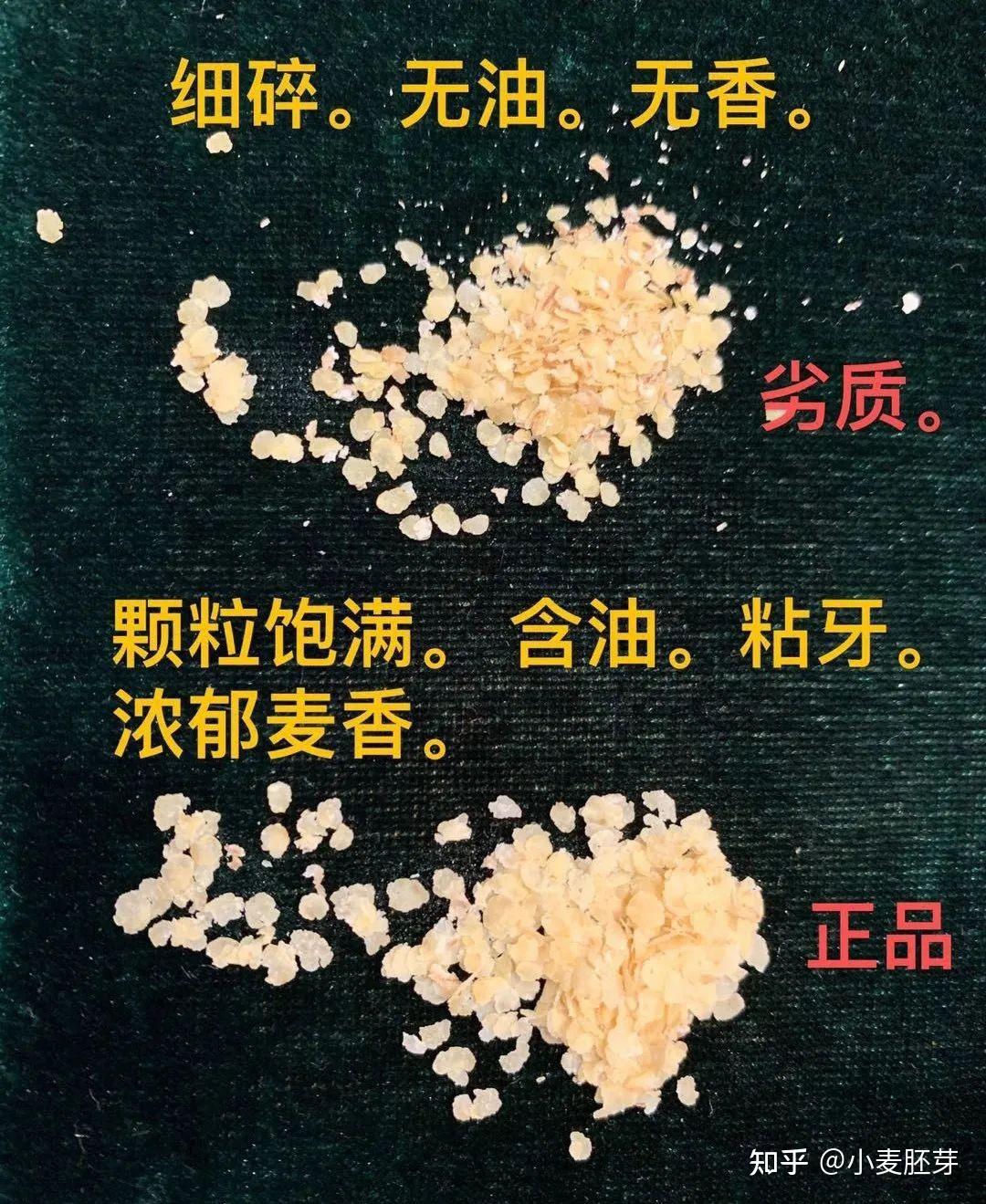 天山的小麦胚芽和新疆的区别在哪里如何甄选小麦胚芽