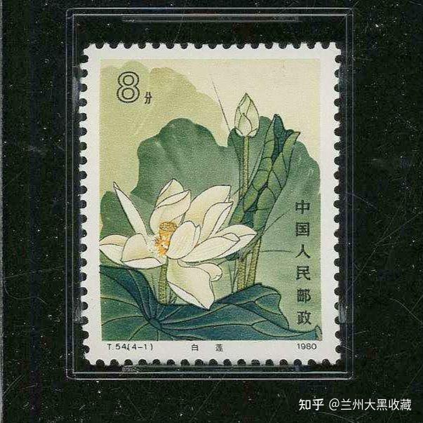 T54荷花（我国荷花）邮票- 知乎