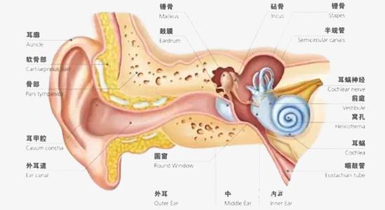 鼓膜内陷怎么回事 知乎 鼓膜内陷怎么回事 知乎