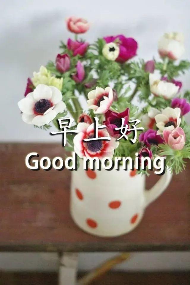 8月份最新版漂亮早安图片鲜花带字最美早上好问候语图片带字温馨