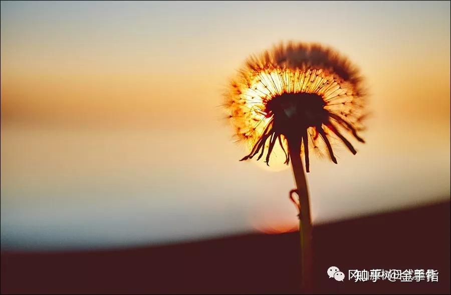 人生不能缺——信仰、因果、良心、道德 - 知乎