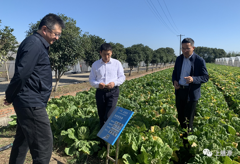 国家水利部沙棘开发管理中心主任赵东晓一行来我司考察指导