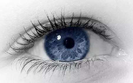 v2-979f54d57d1fdaea9165bd1854279629_1440w.jpg?source=172ae18b