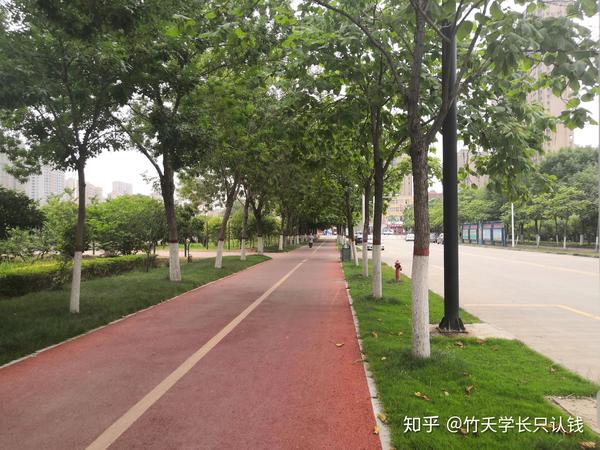 河南大学在哪_河南大学排名_河南大学是211吗