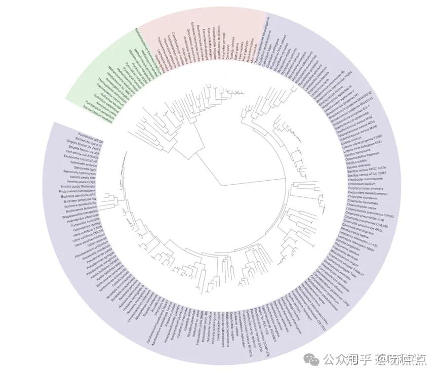 重磅教程！构建具有分歧时间的物种树（先导篇） - 知乎