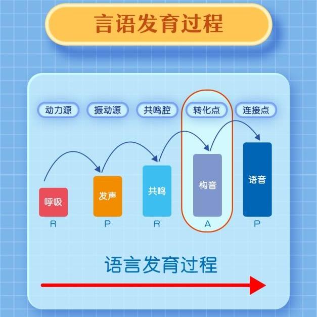 儿童言语发育的过程