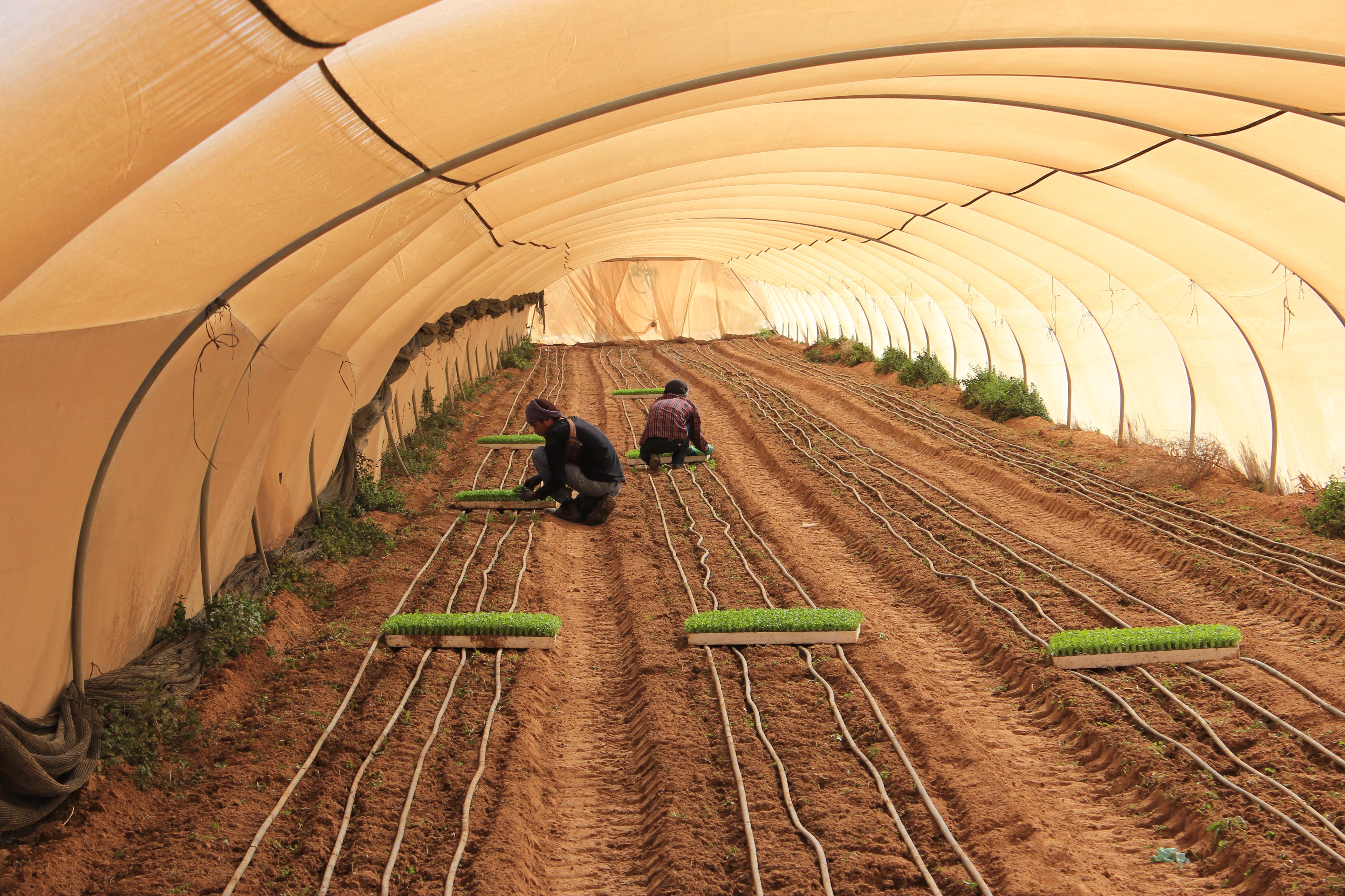 以色列农业10大科技领超世界！“农业黑科技”，中国美国都在学习 - 知乎