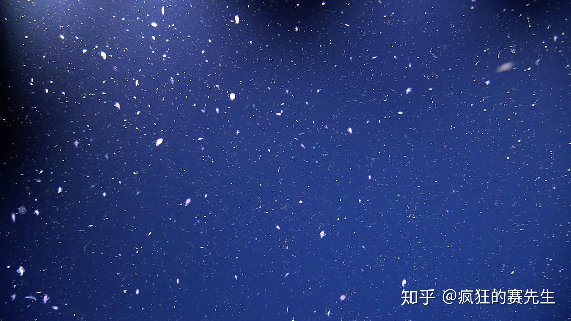 海洋雪:永不停止,春季最大 - 知乎