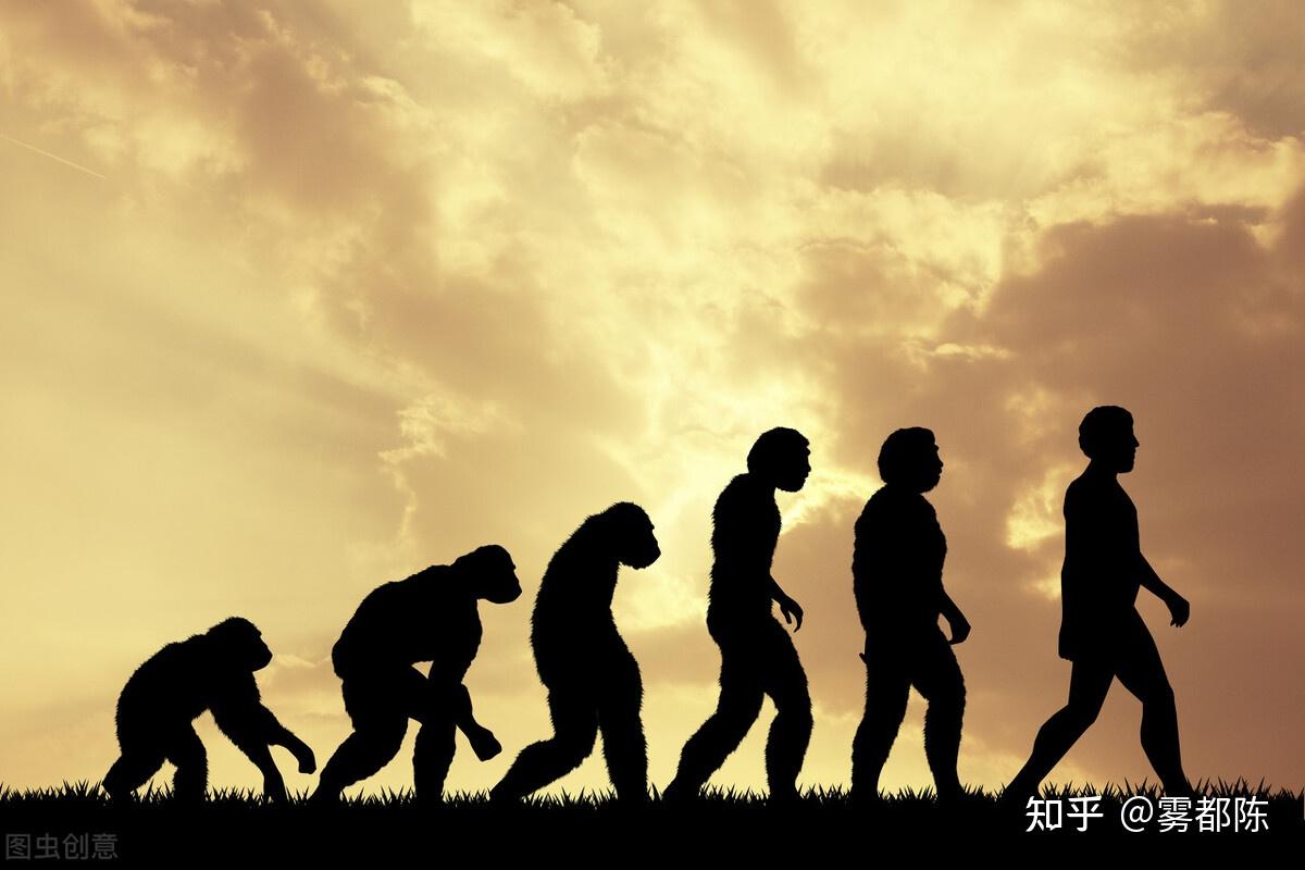 脑洞资本主义一套精致的丛林法则人类最后的野蛮时代