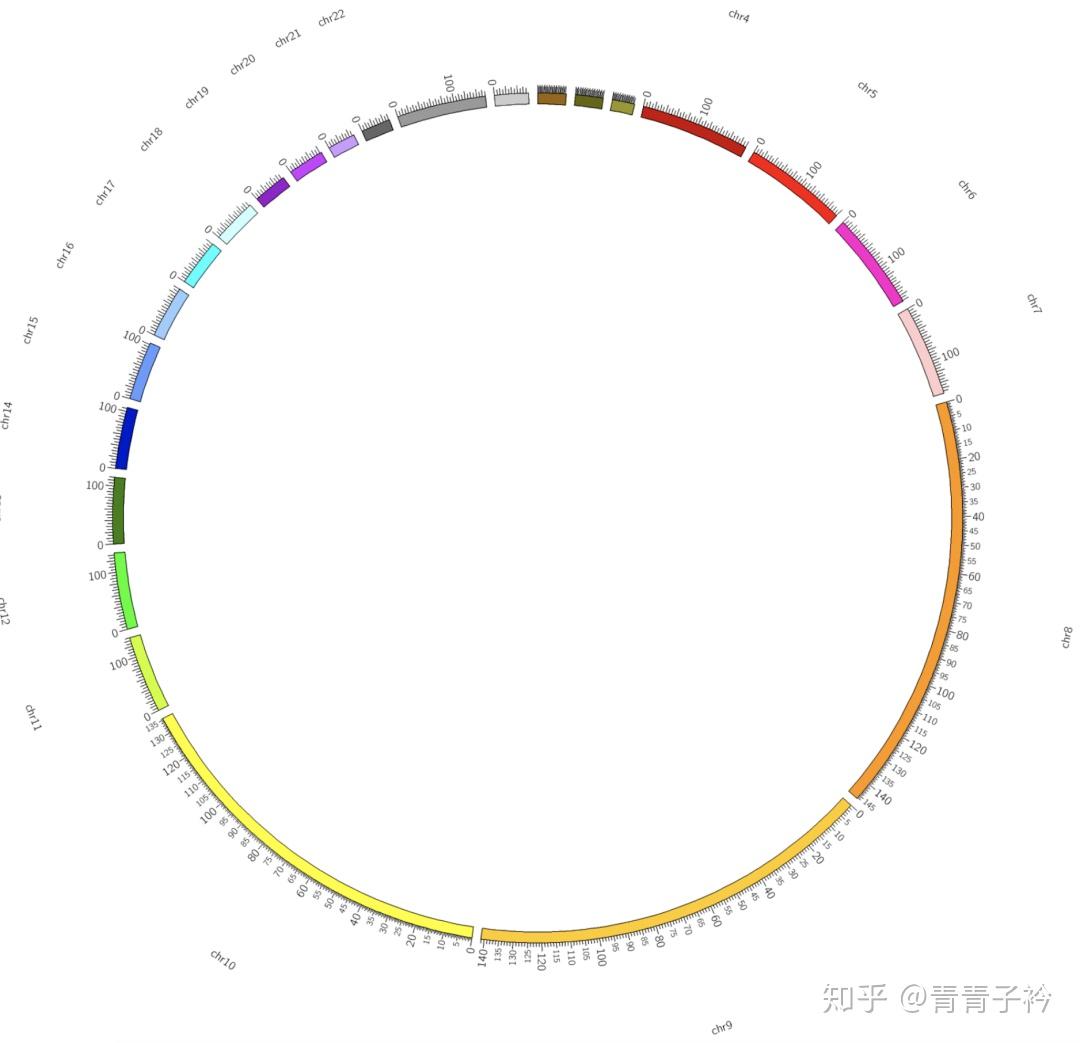 全局范围调整这部分教程的重点是调整ideogram的范围,包括全局和局部
