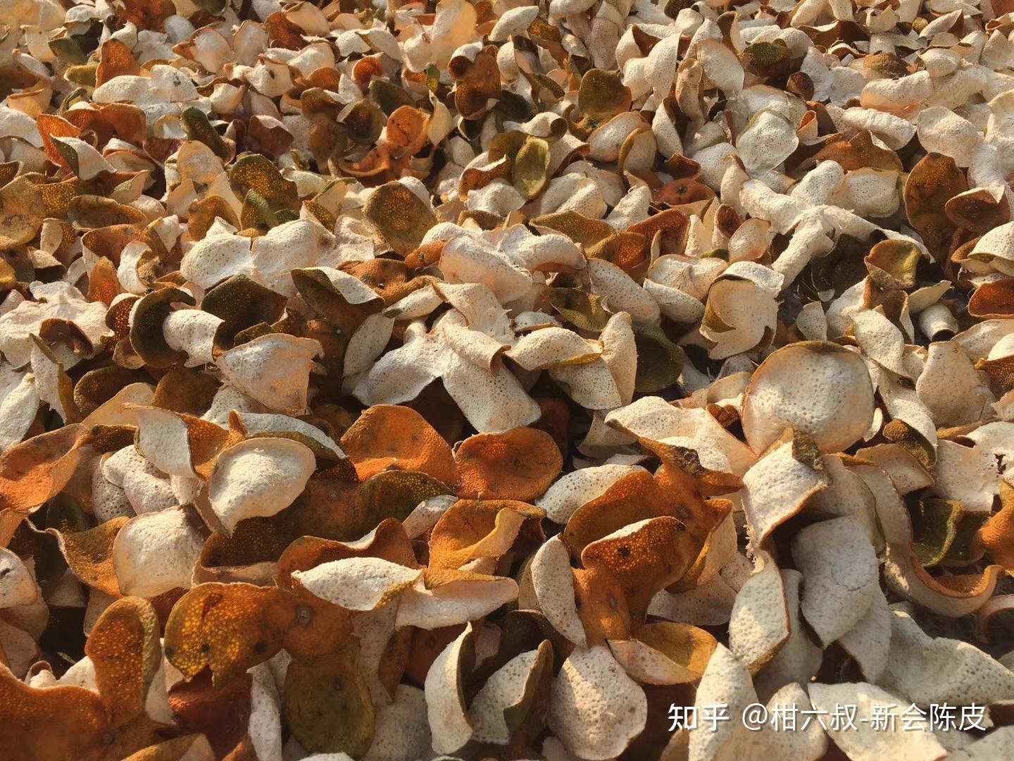 新会陈皮价格一路攀升为什么越来越贵