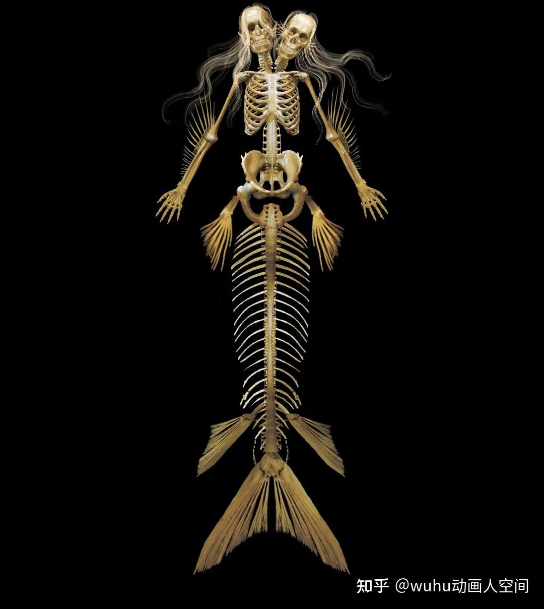 最后说一说那张美人鱼骨骼,也是与网友最有争议的一幅作品
