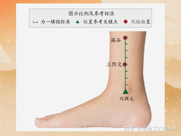 女性艾灸三阴交穴的作用与好处附三阴交位置+艾灸时间 知乎