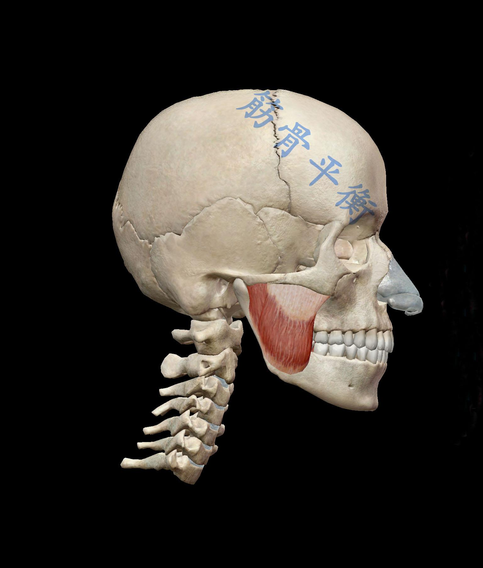 只为遇到更美丽的