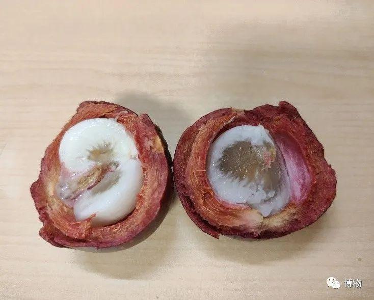 今天教大家:如何挑到最好吃的山竹?