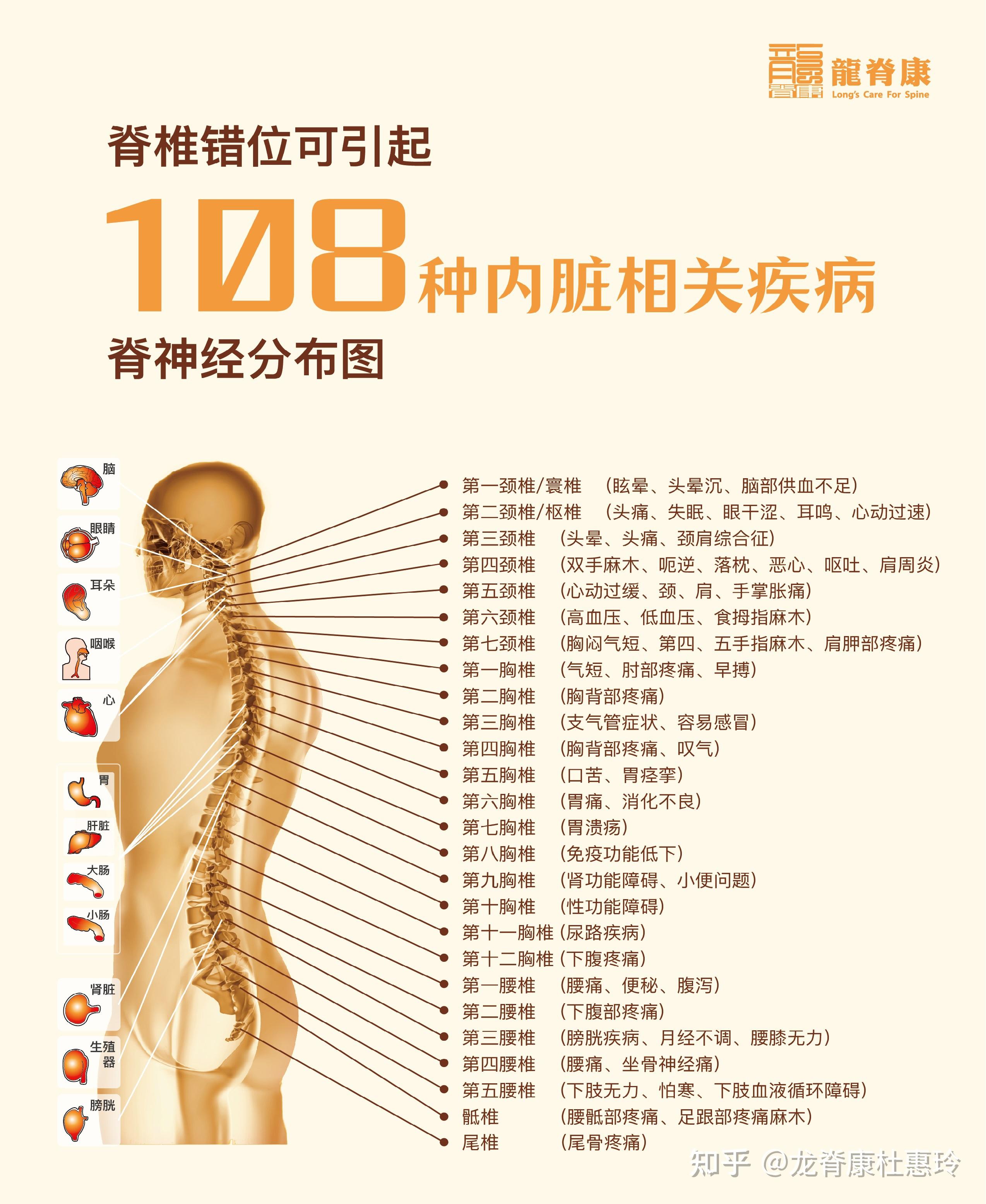 脊椎骨疼痛的原因图图片