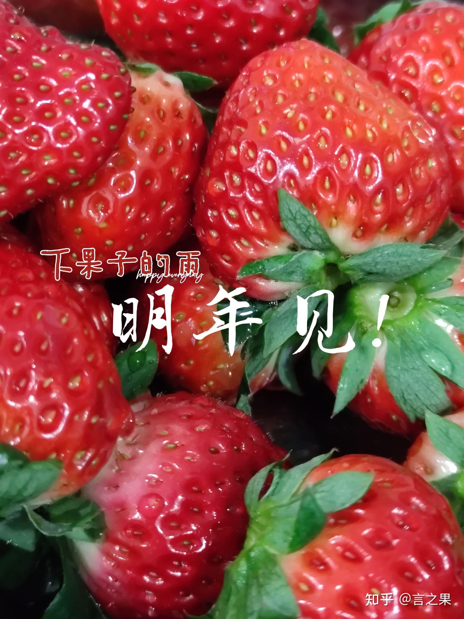 明年见下果子的雨