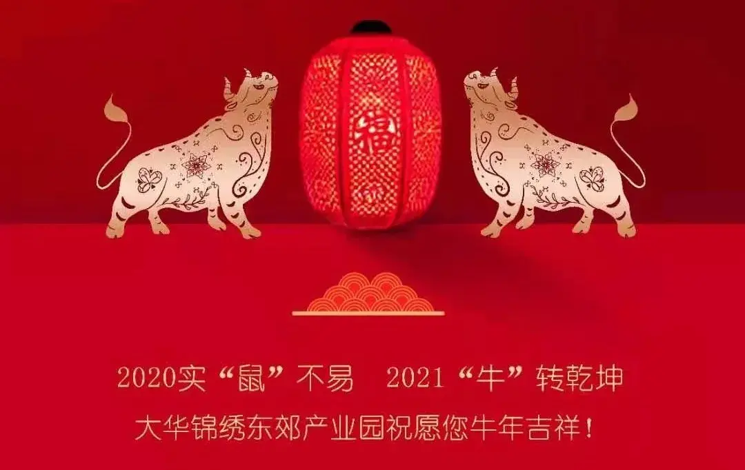 2020不负所托2021继往开来