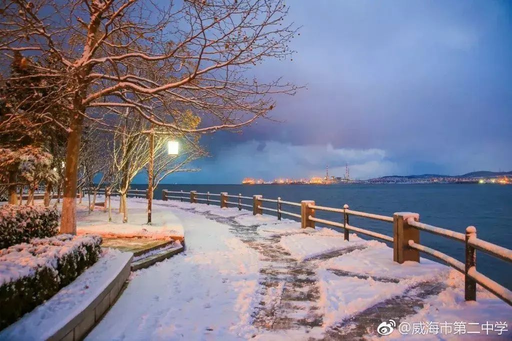 都说威海是雪窝子,果然名副其实,真正的环海路雪景视频也来了! - 知乎