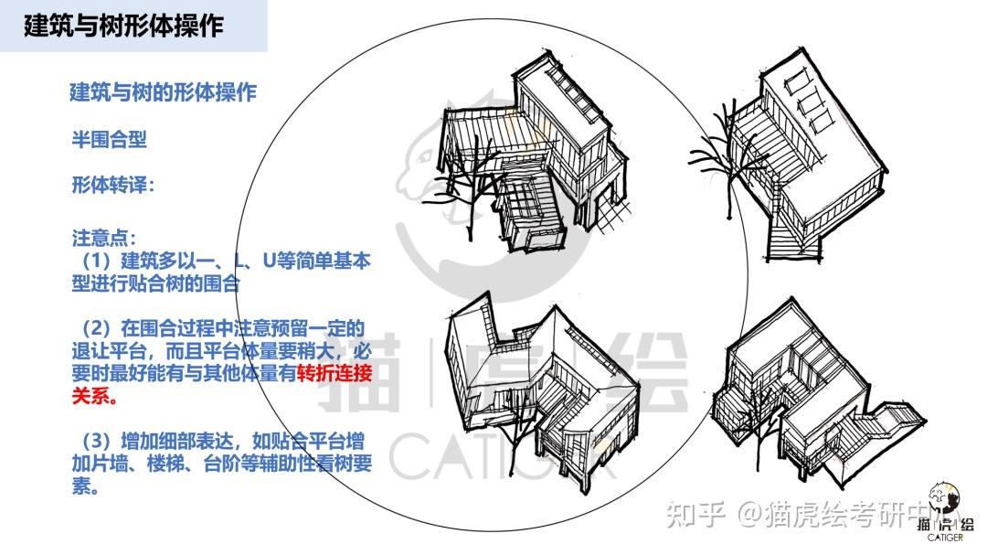 猫虎绘2023暑假建筑快题强化班专题(五):建筑与古树专题 - 知乎