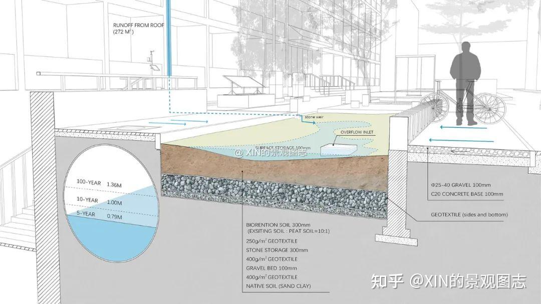 雨水花园结构分析图图片