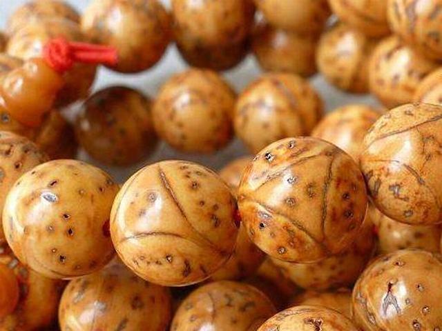 龙眼菩提盘玩有方法养选保教会你