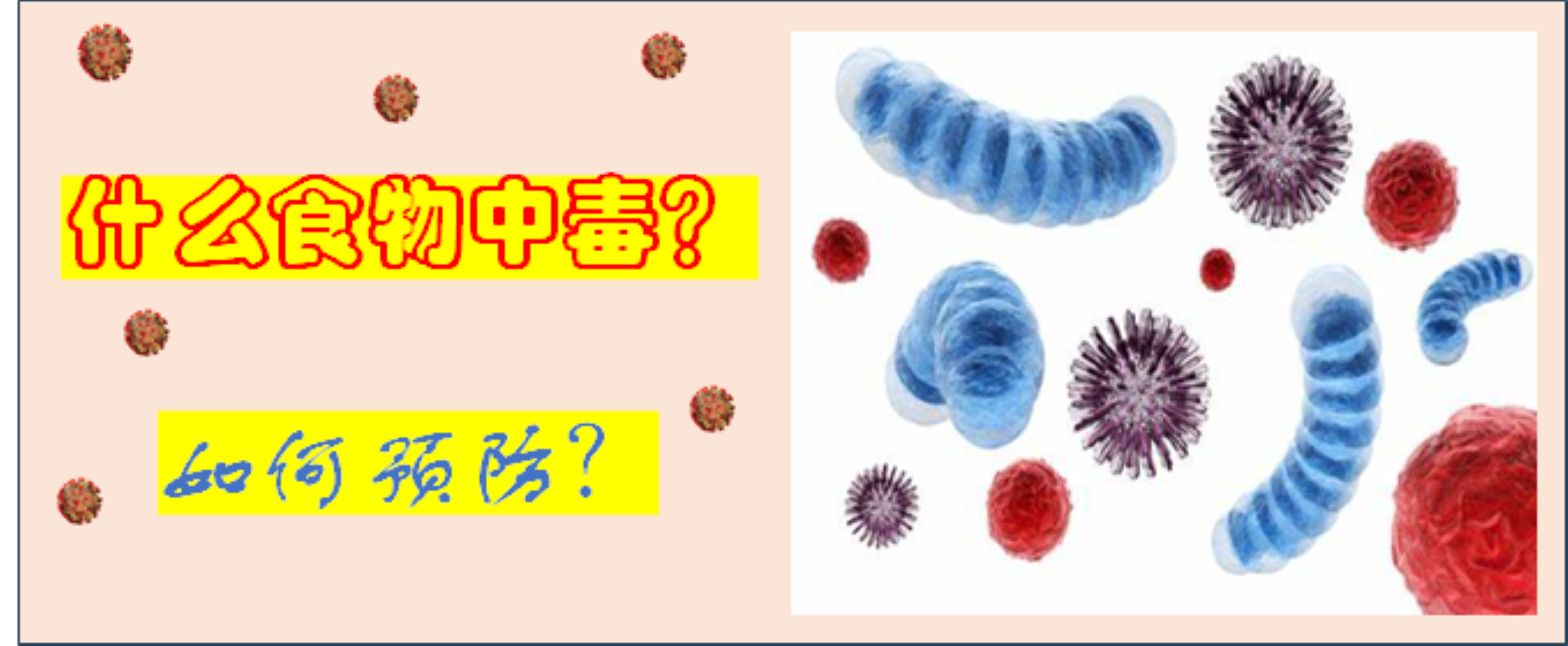 什么是食物中毒?如何预防? - 知乎