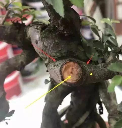 如何修出漂亮的马眼