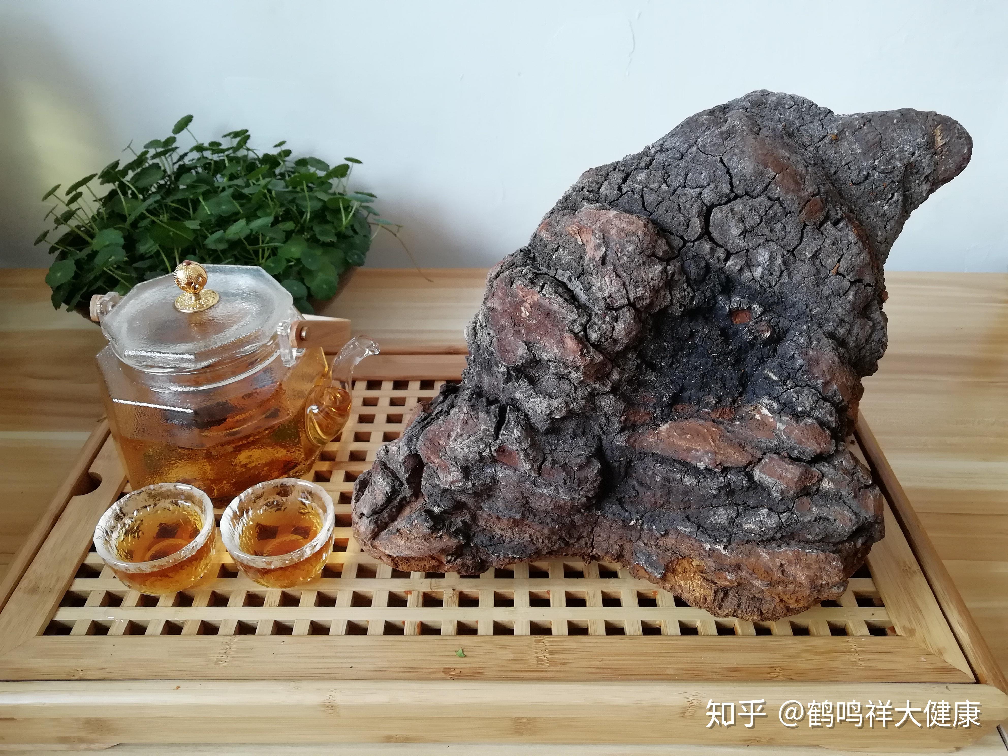 长期喝桦树茸茶饮身体会有惊人的变化