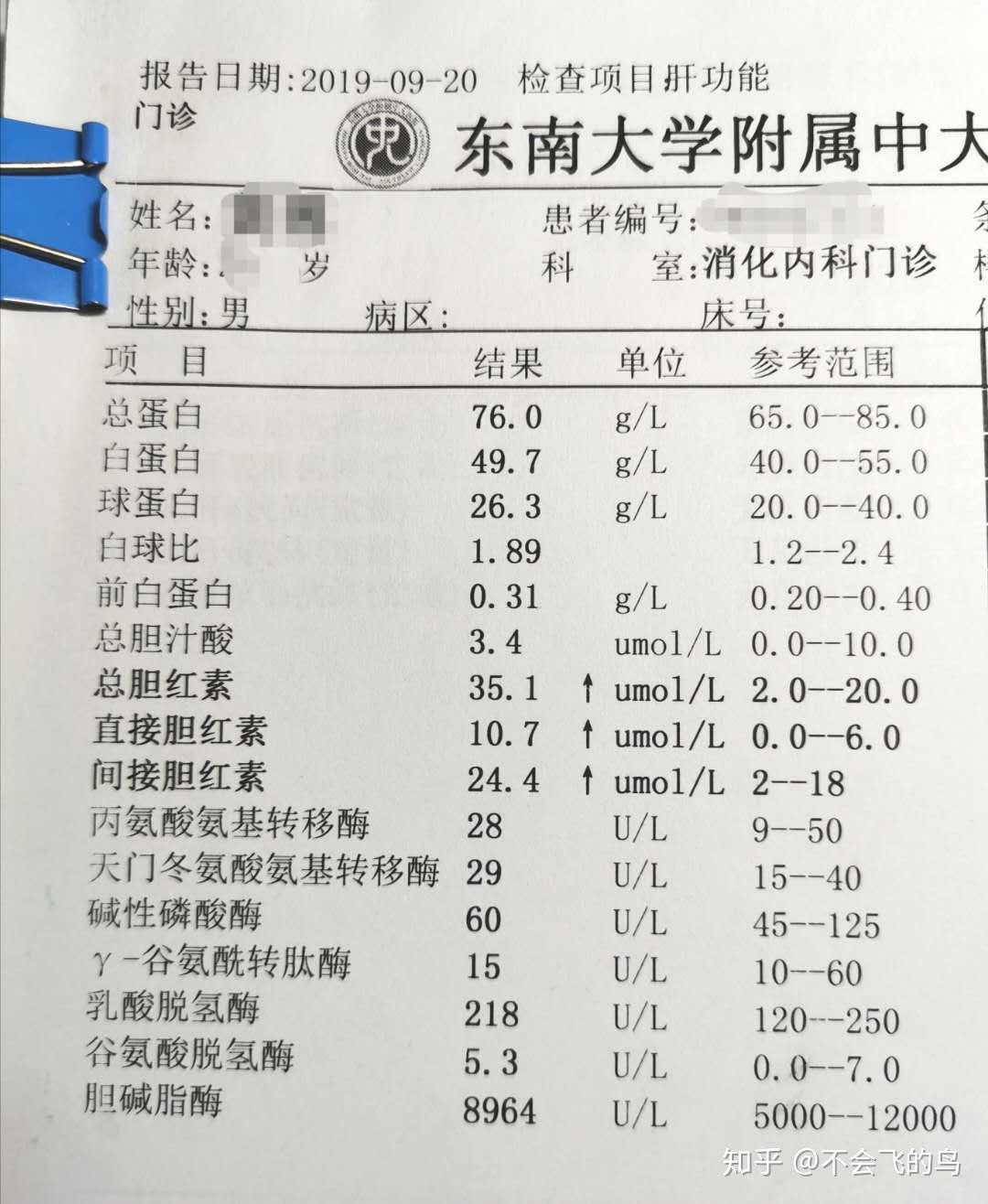 总胆红素和间接胆红素偏高