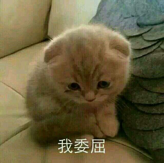 现在全国还有哪些不限购不限售,利好消息多升